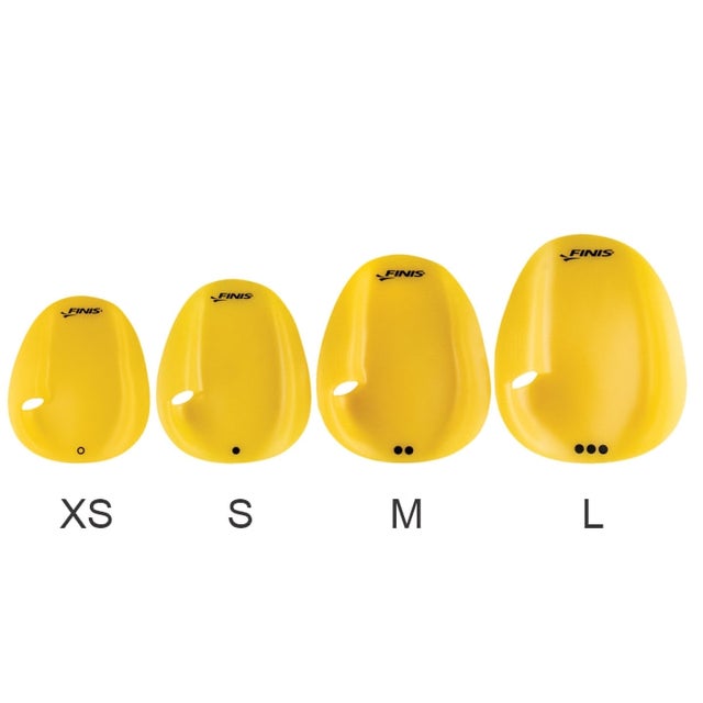 the paddles / 25歳 the paddles、渡邊剣人（Dr）が正規メンバーとして加入。渡邊と